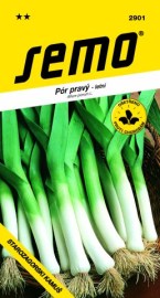 Pór letní Starozagorski  Kamuš